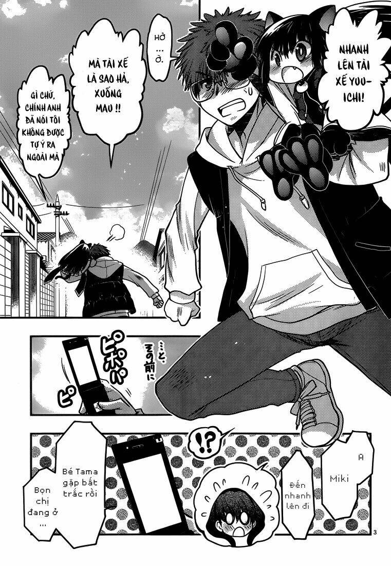 tamanyan chapter 8 4