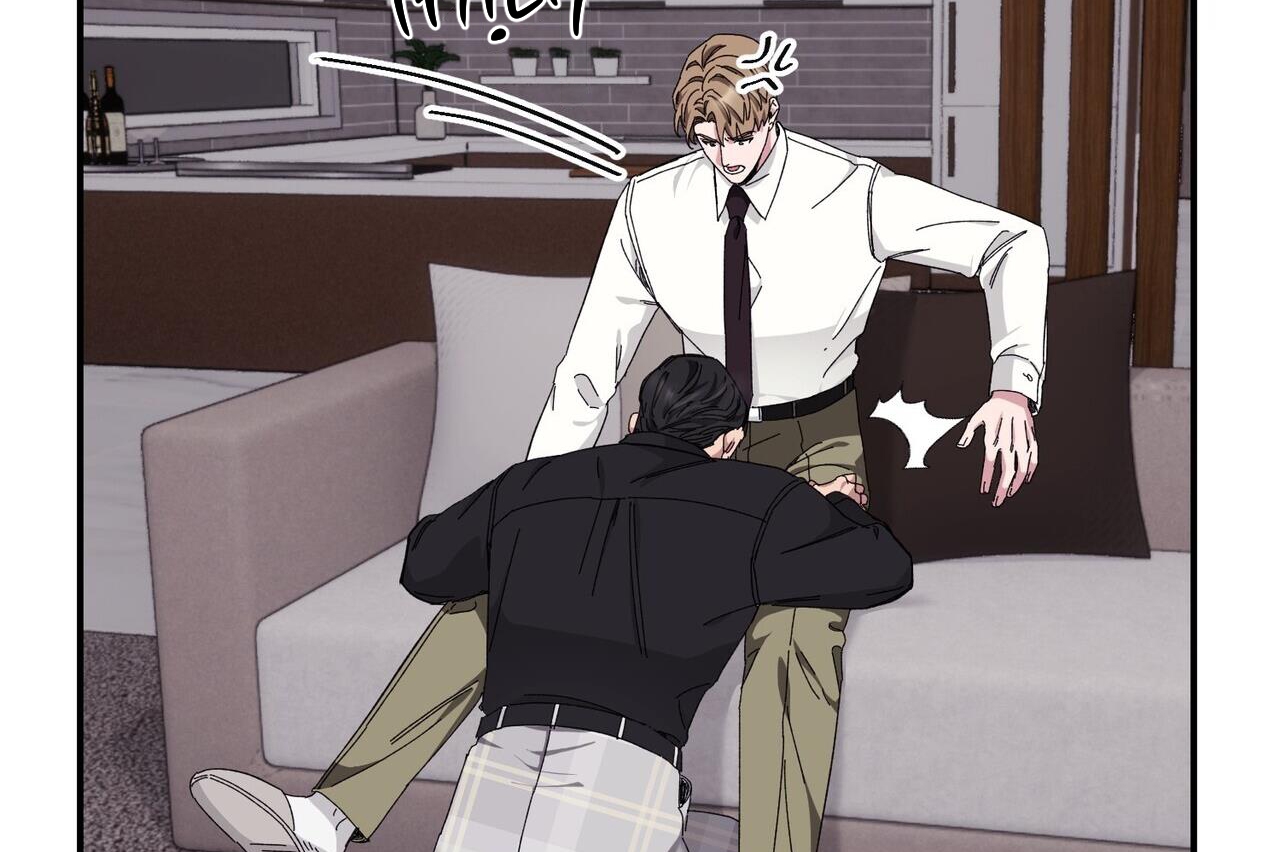 chàng dâu nhà họ kang chapter 34 54