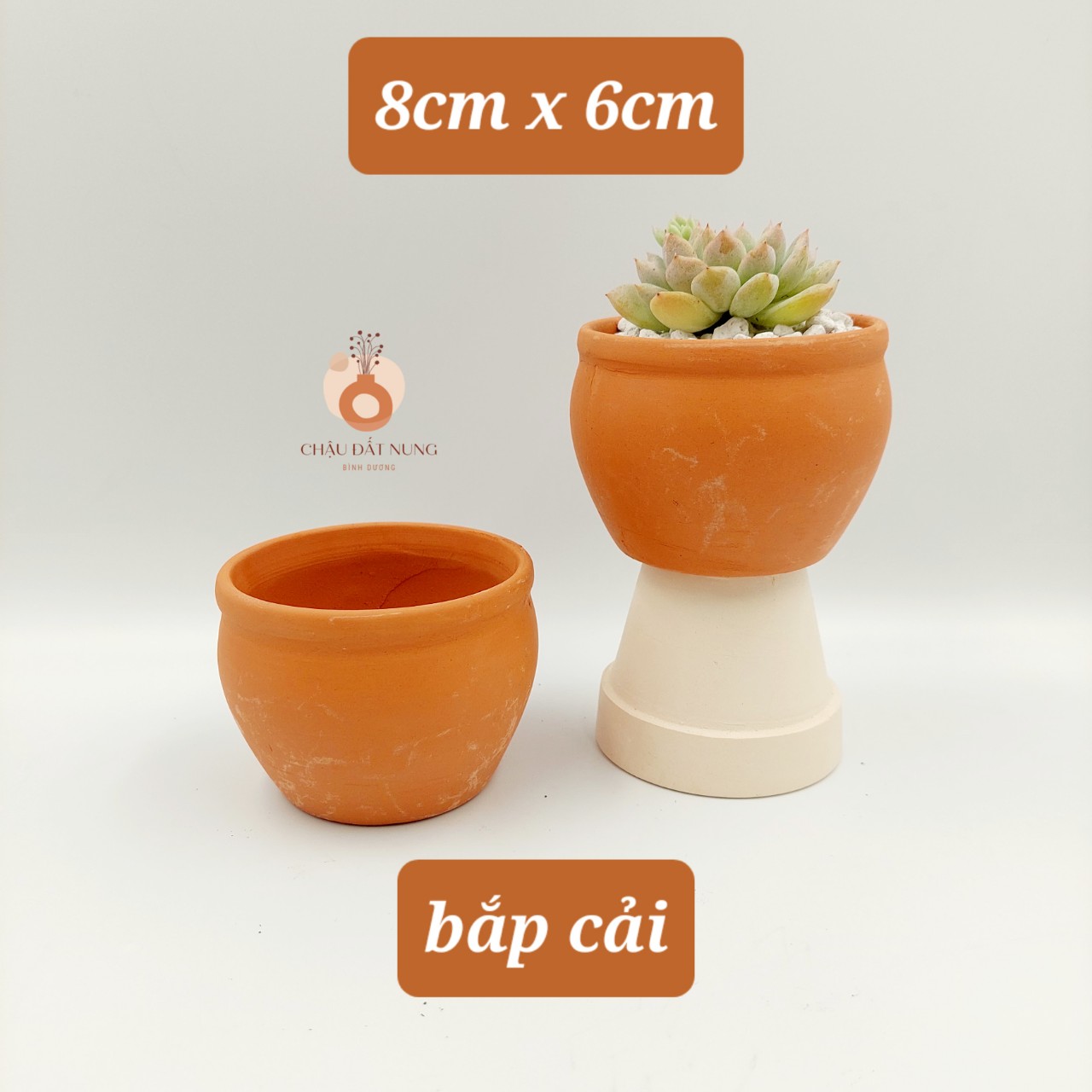 Chậu đất nung Bình Dương- Bắp cải 86, miệng chậu 8~9cm, chiều cao 6~7cm