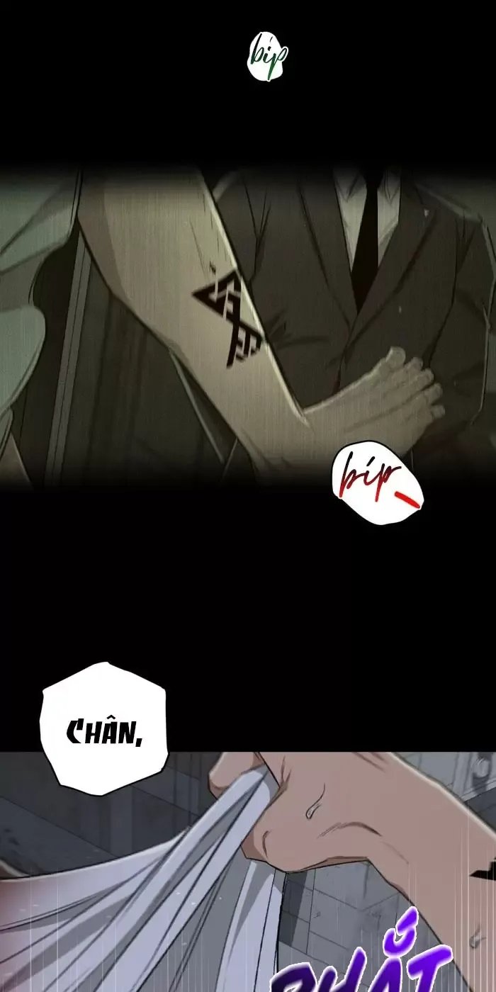 liveta chapter 65 39