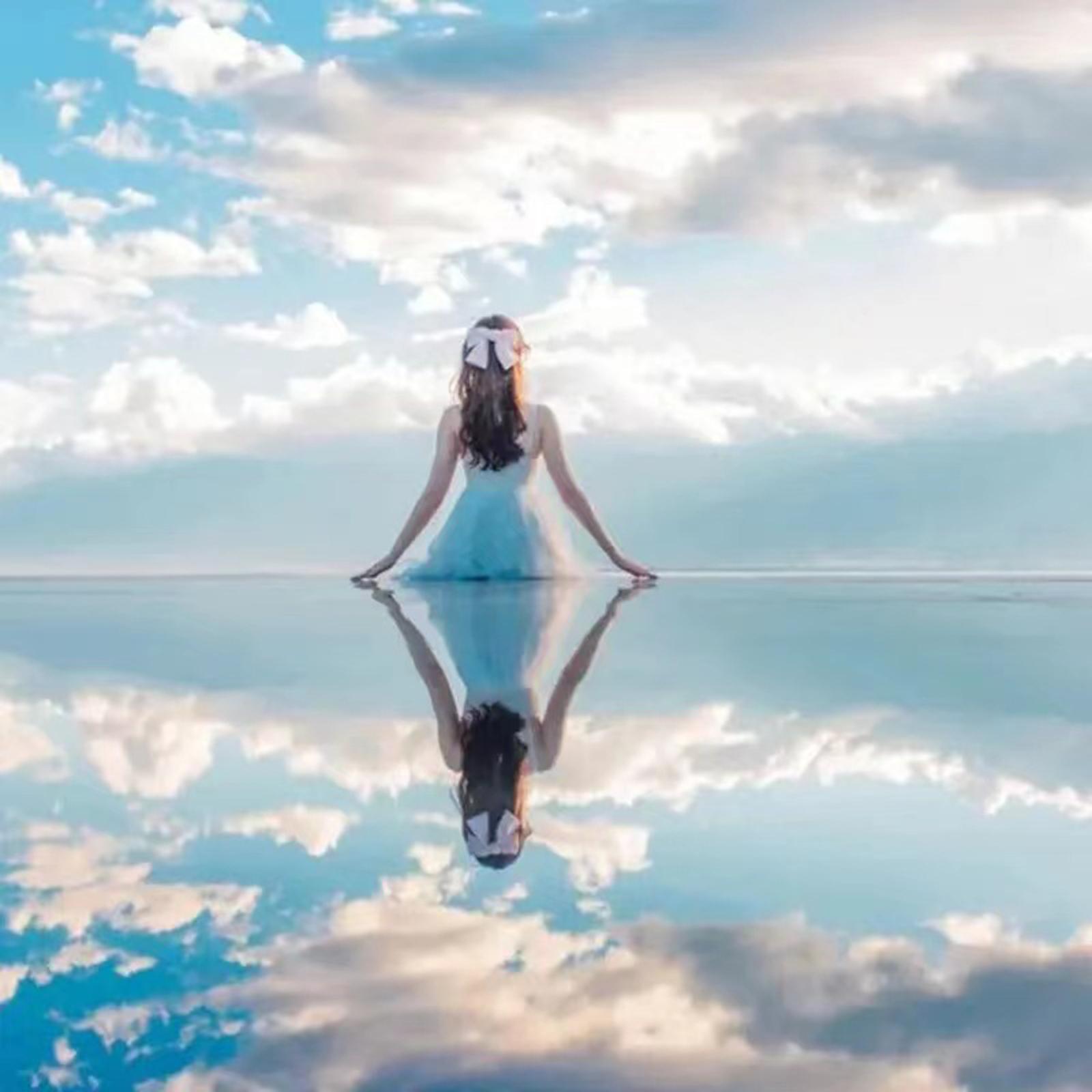 Phone Reflection Clip Universal Portable for Travel Cellphone Photography Mirror