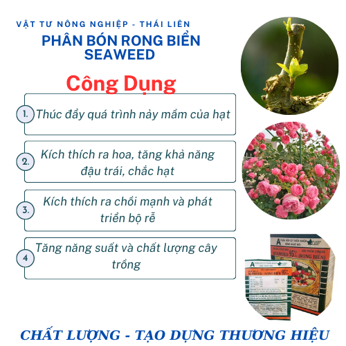 Phân bón lá Seaweed Rong biển, Phân bón hữu cơ - Gói 10 gram