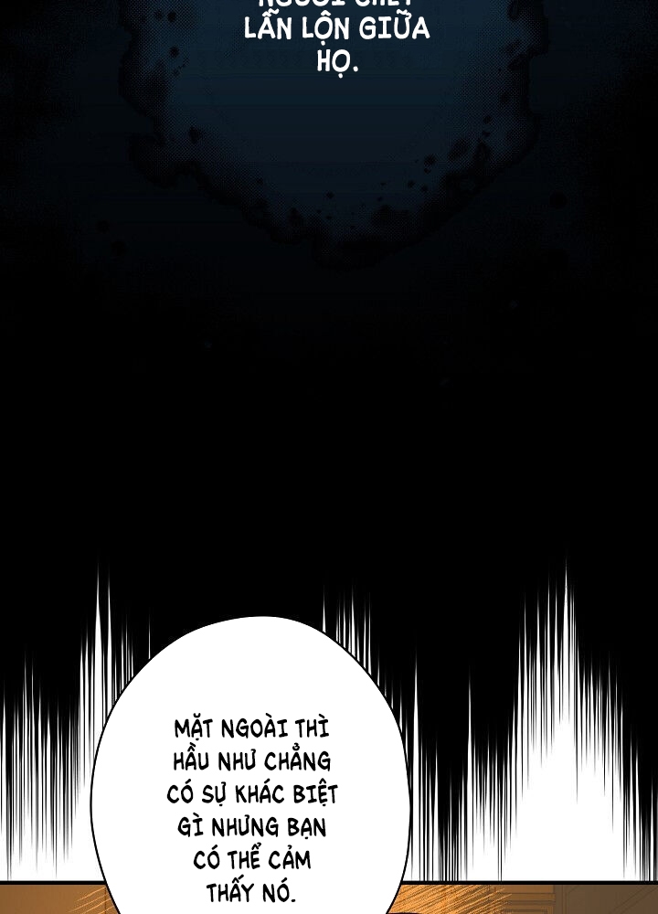 quý cô bí ẩn - secret lady chapter 2 11