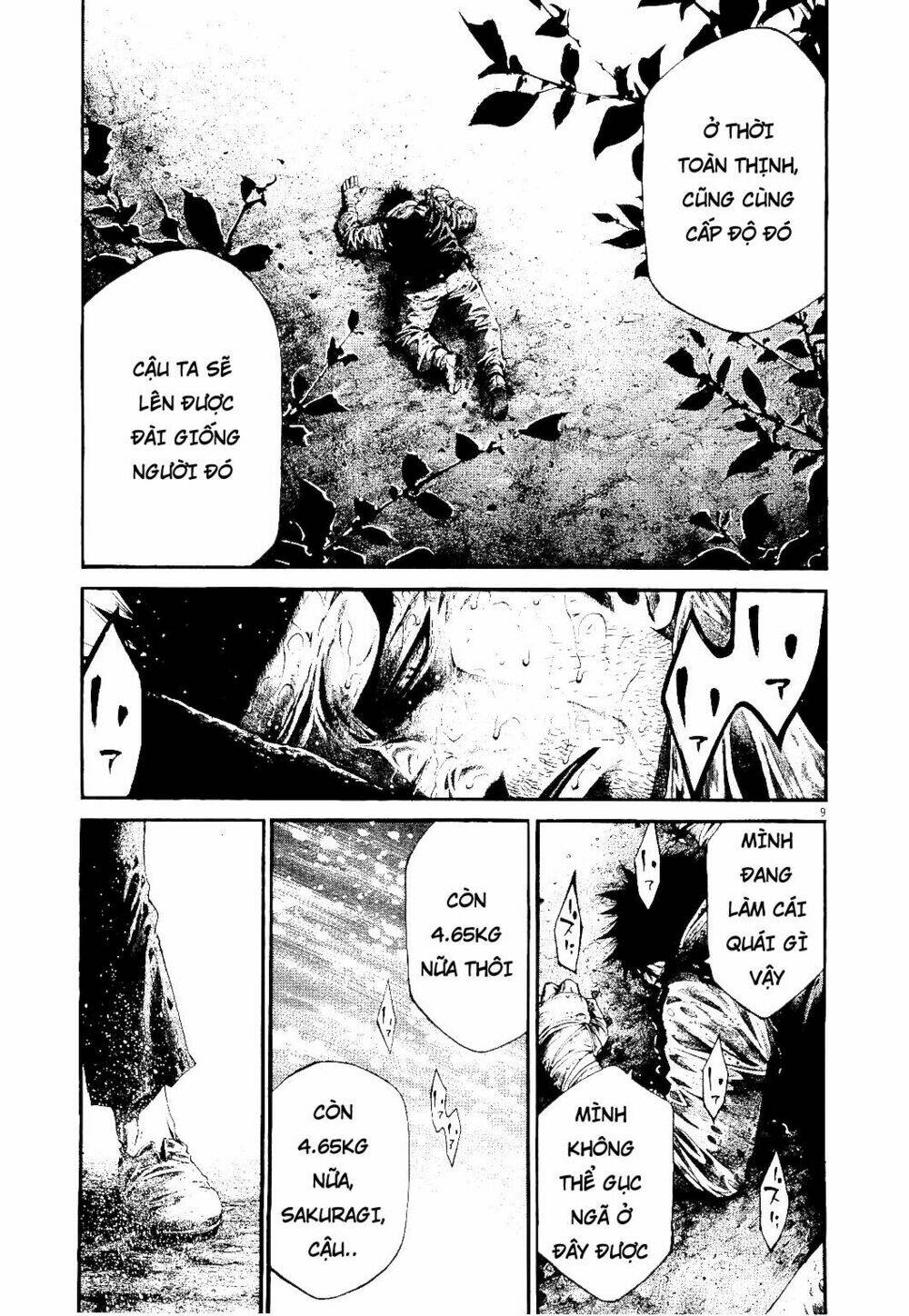 rainbow chapter 227 8