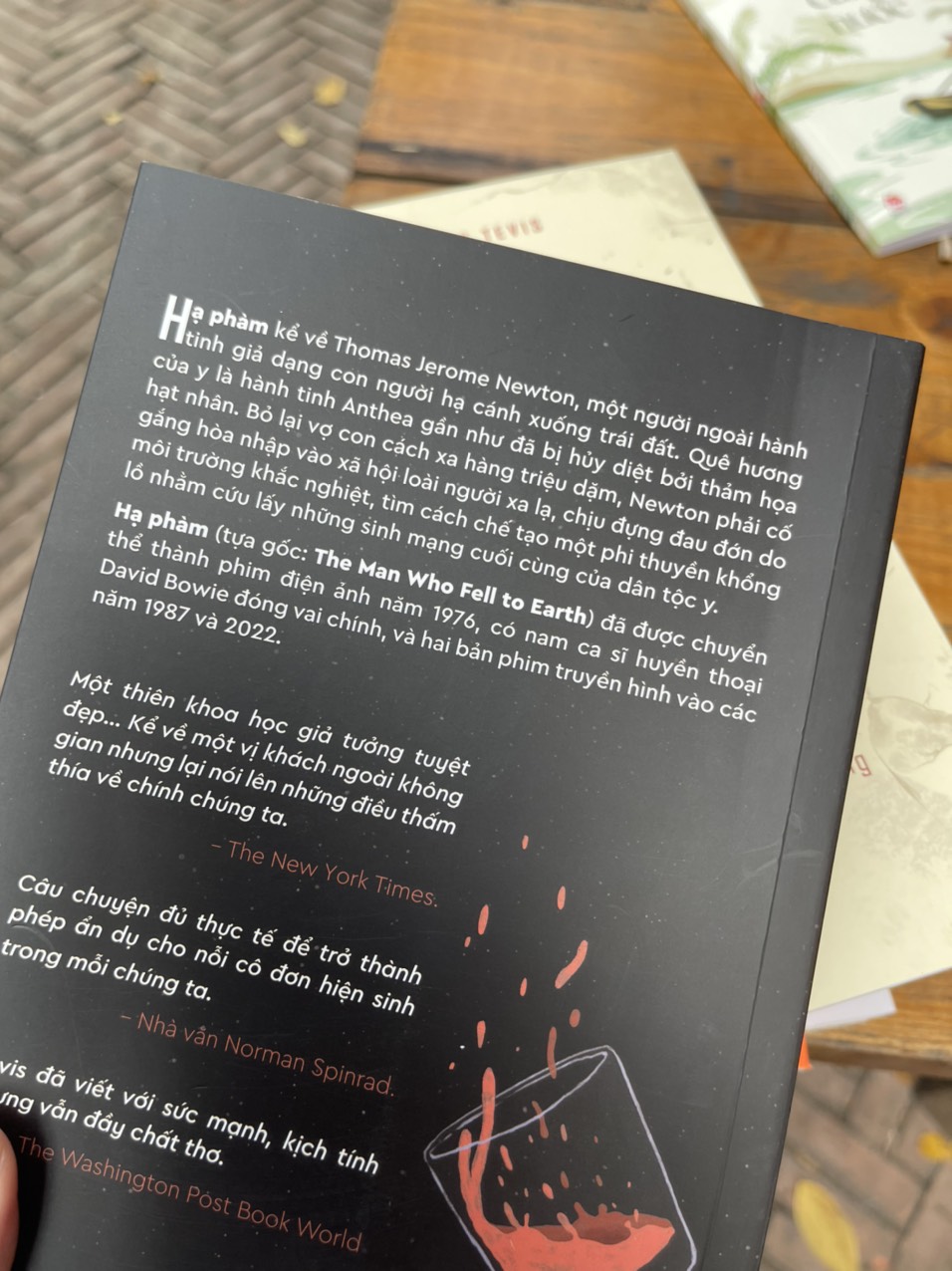 HẠ PHÀM - Walter Tevis - Thái Vi, Yên Chi dịch - Nxb Kim Đồng