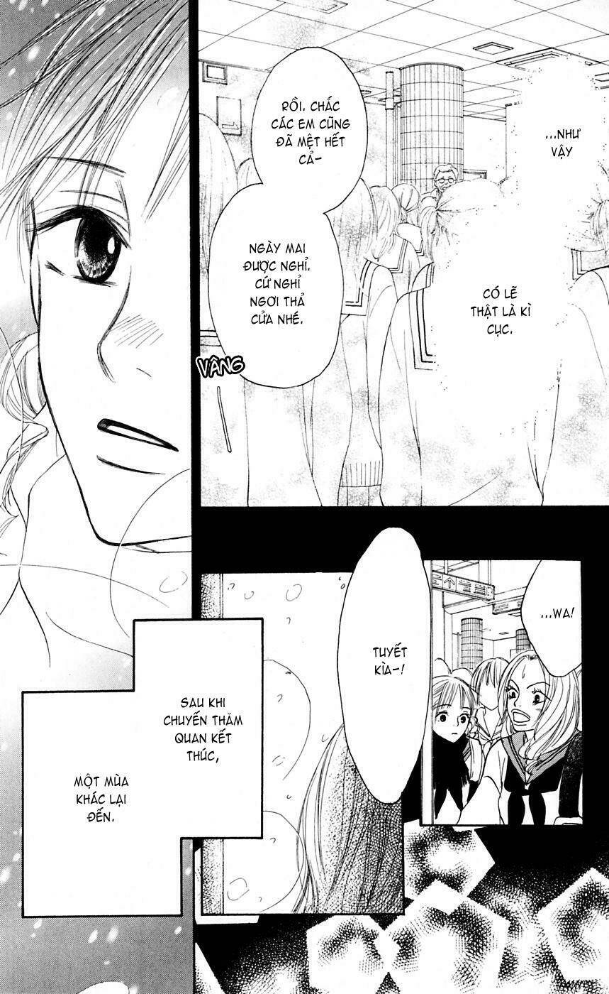 phát điên vì em chapter 12 41