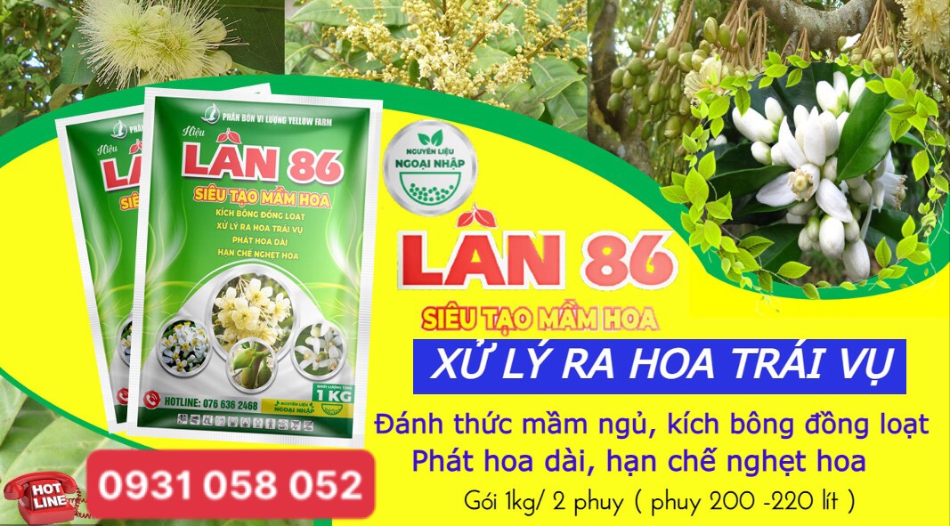 LÂN 86- HẠN CHẾ NGHẸT HOA, XỬ LÝ RA HOA TRÁI VỤ GÓI 1KG