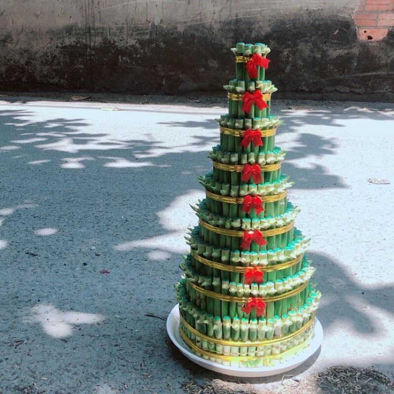 Trúc Phát Tài 9 Thân Kèm Dĩa