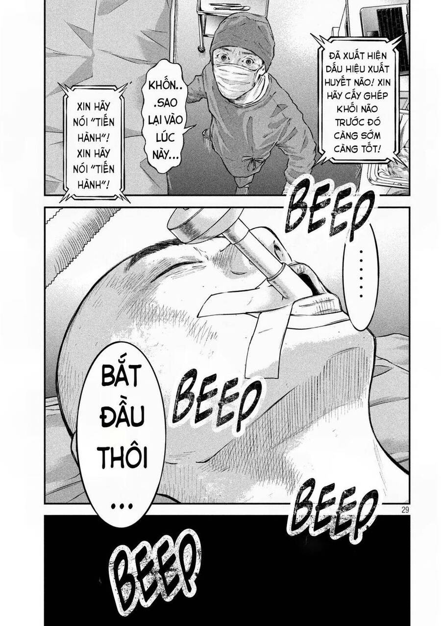 mật danh: nostra chapter 1 29