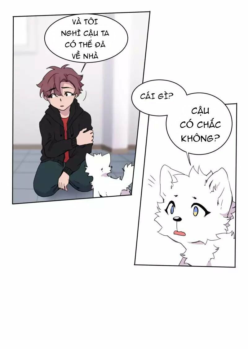lumine - cội nguồn ánh sáng chapter 22 12