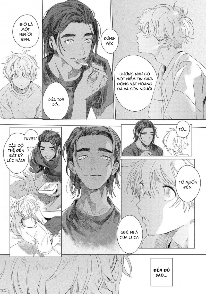 đất nước của những chú sư tử chapter 4 39