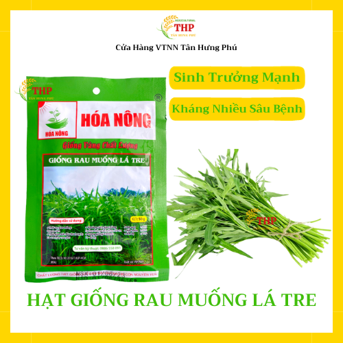 Hạt giống Rau Muống Lá Tre | Hạt Giống | gói 50gr