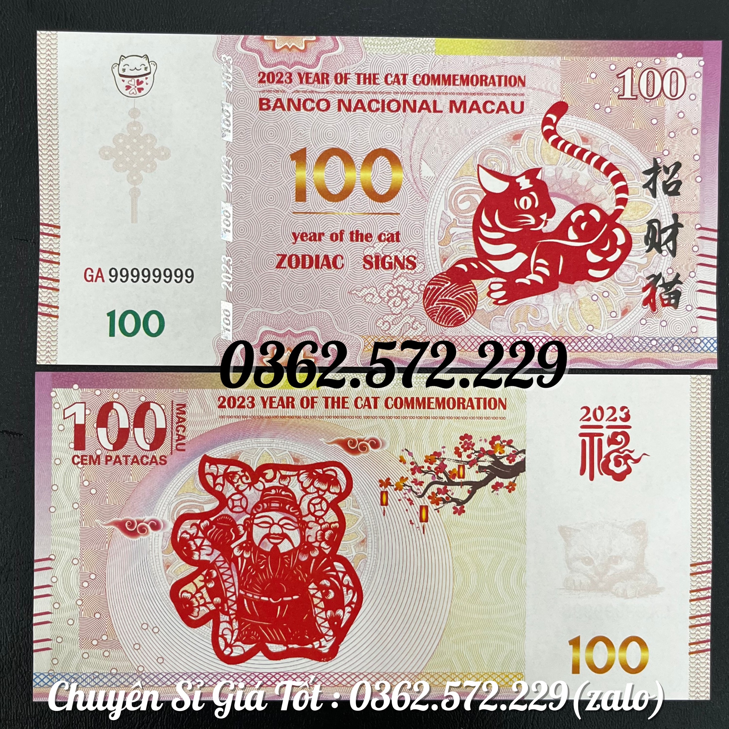 Tiền con Mèo Macao lưu niệm năm Qúy Mão 2023 Lì Xì Tết Mệnh Gía 100