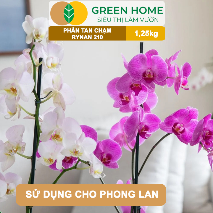 Phân Tan Chậm GreenHome, Rynan 210, Hũ 1,25kg, Dùng Cho Phong Lan Trưởng Thành, Đủ Dưỡng Chất