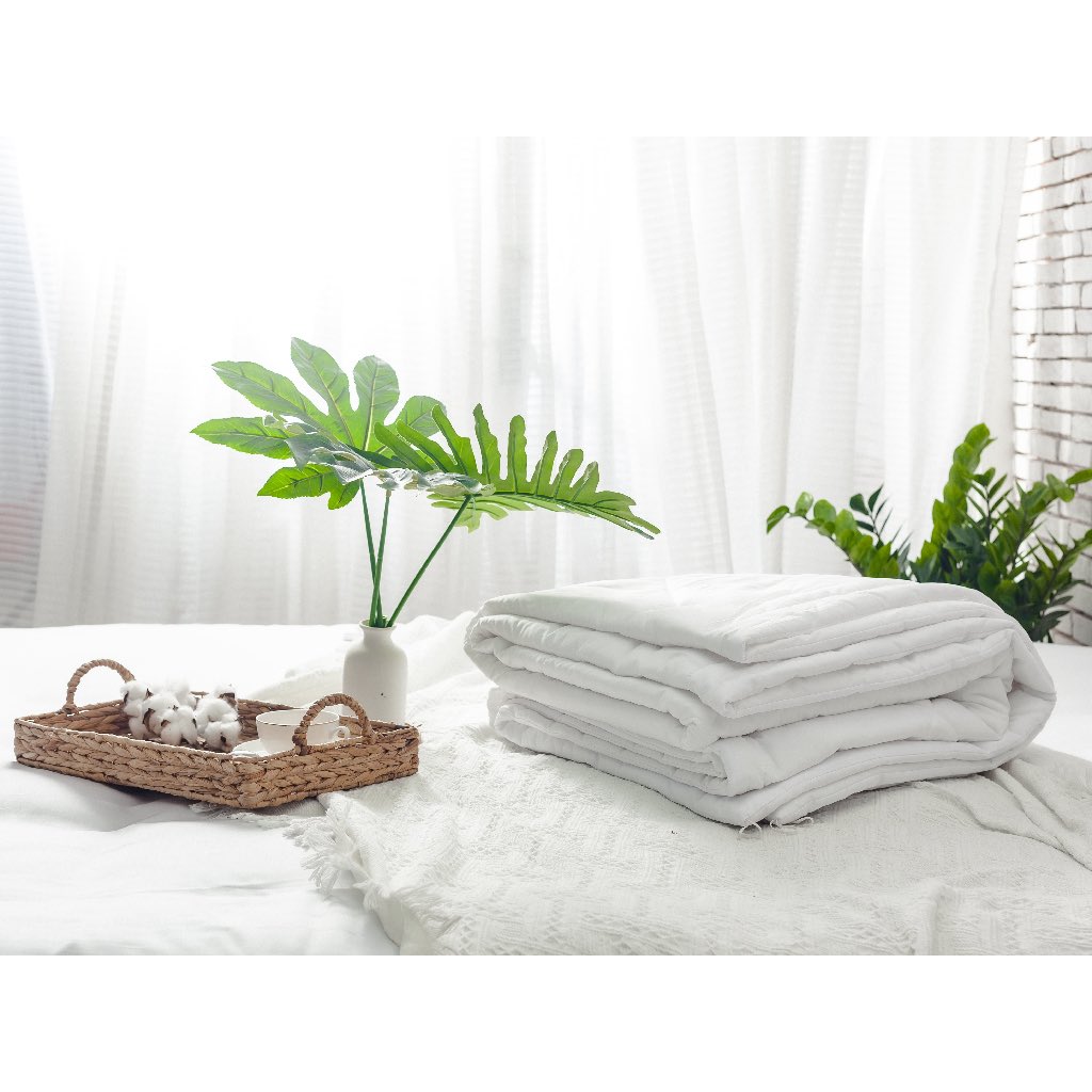 Ruột chăn hè cao cấp Gòn Bedding 2m2x2m (đặt hàng 2 ngày)