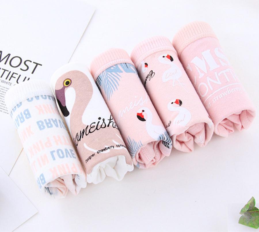 5 quần lót nữ tam giác cotton hình thiên nga