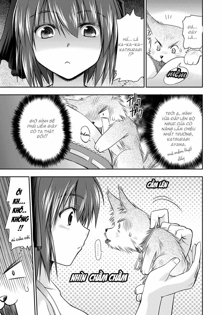 perowan! - hayaku shinasai! goshujinsama chapter 4 17