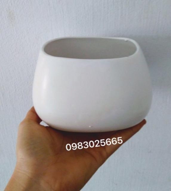 Combo 2 chậu sứ men mát cao cấp trồng cây