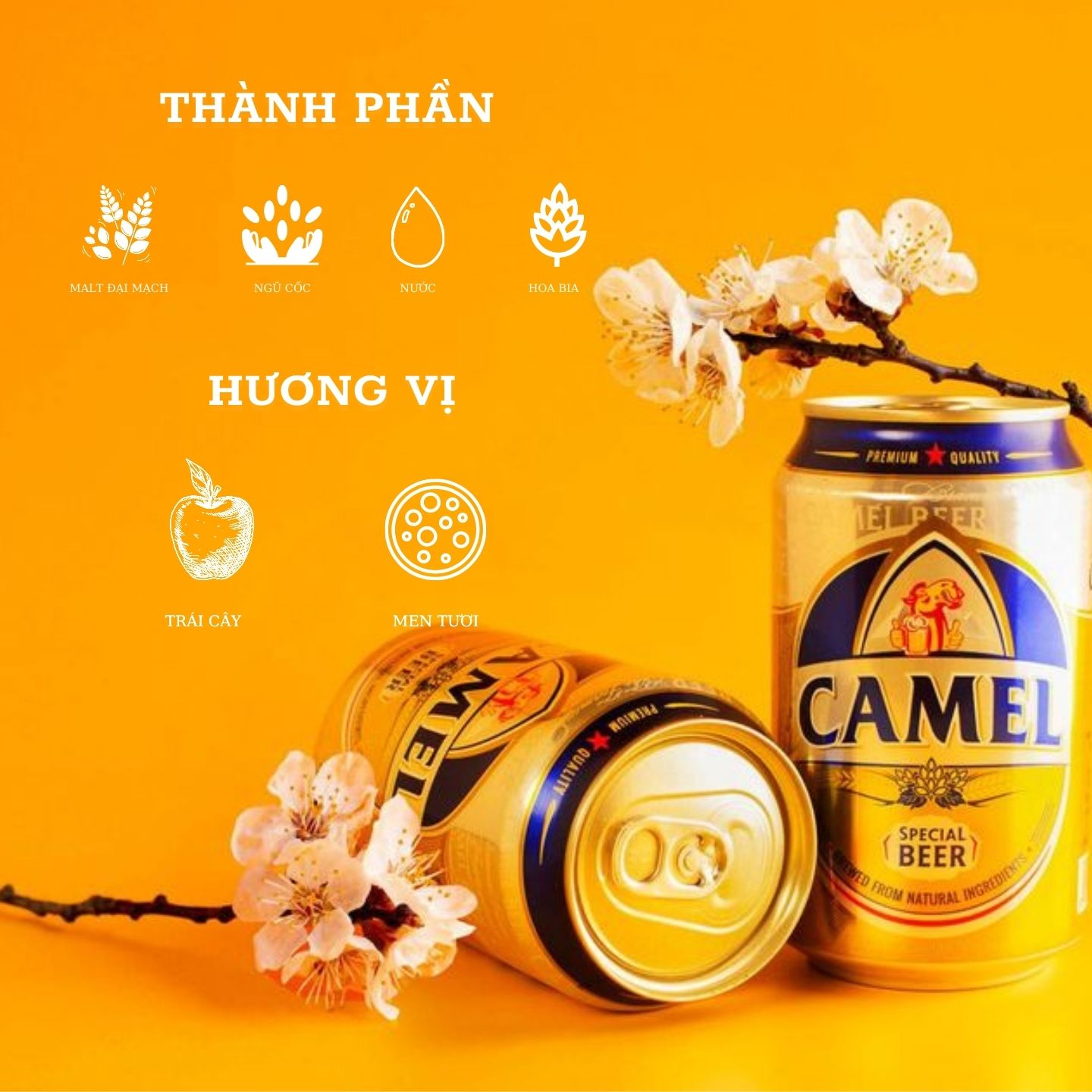 Bia Camel Special (Vàng) - Thùng 12 lon 330ml