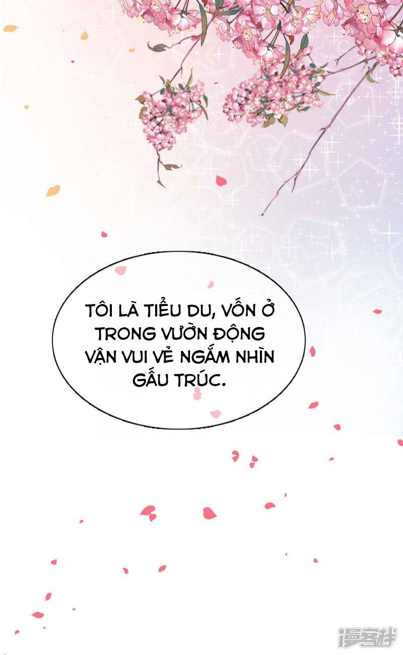 xuyên về cổ đại làm quốc bảo chapter 0 9