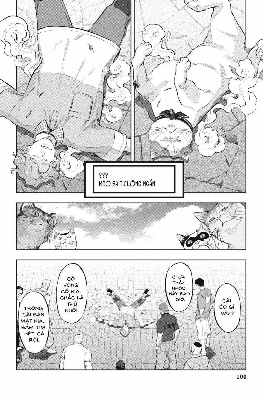 nyankees chapter 10 8