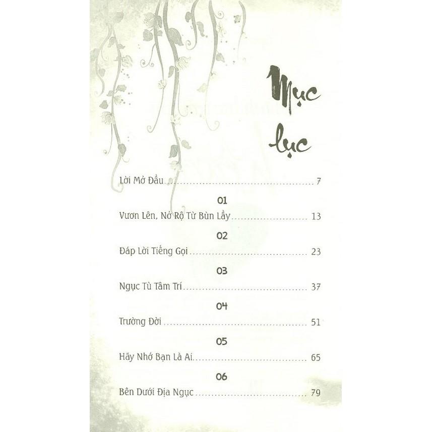 Mảnh Lực Trái Tim