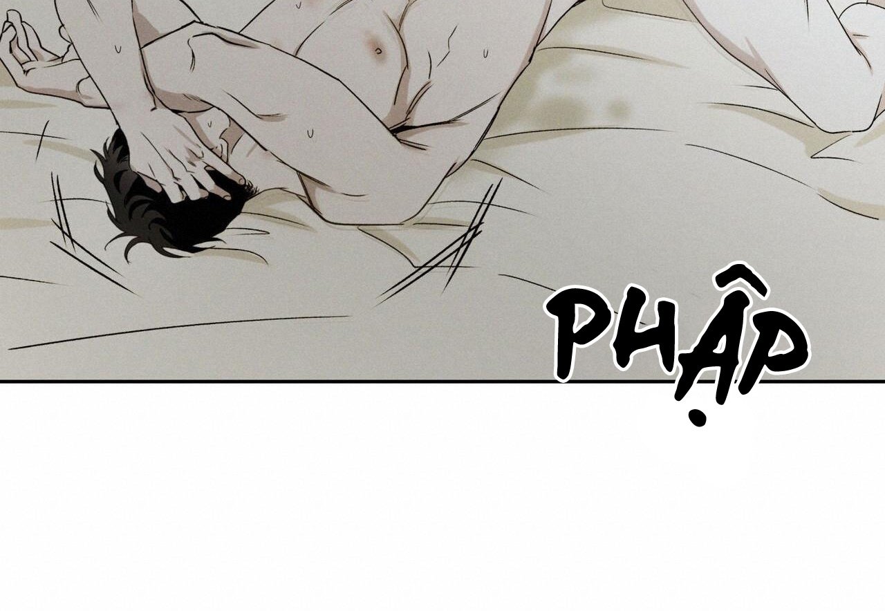 chàng giao pizza và gold palace chapter 48 29