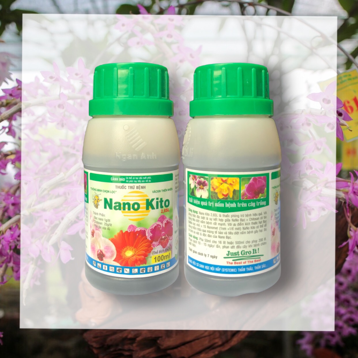 Chế phẩm phòng ngừa nấm hồng Nano kito 100ml