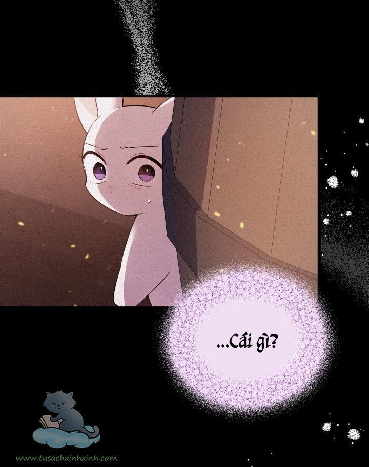 quan hệ cộng sinh giữa báo đen và thỏ trắng chapter 58 49