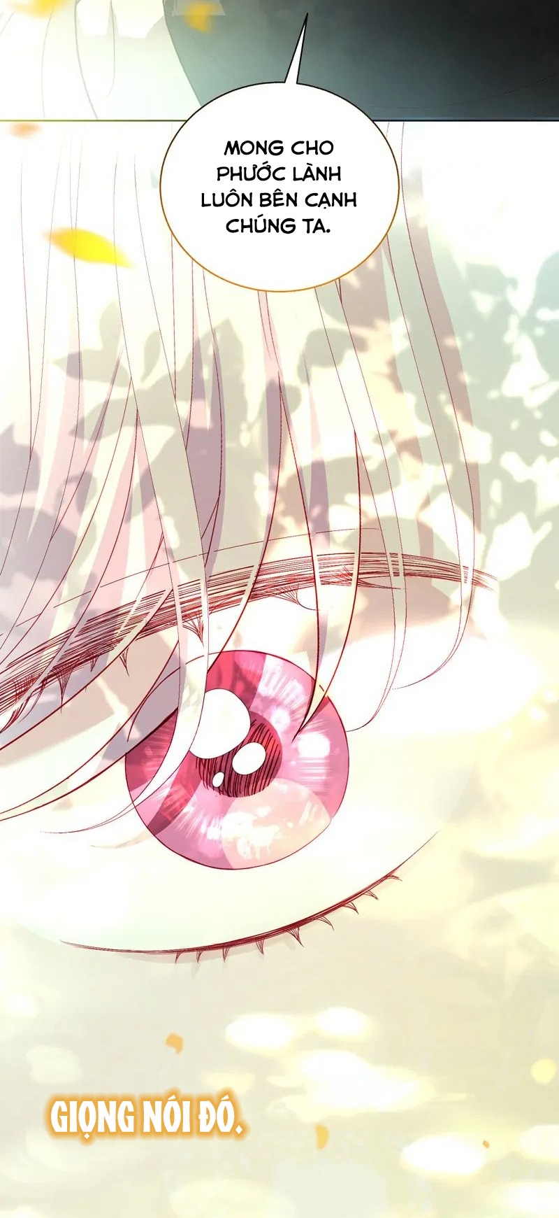 papa của tôi đã xuất hiện chapter 47 80