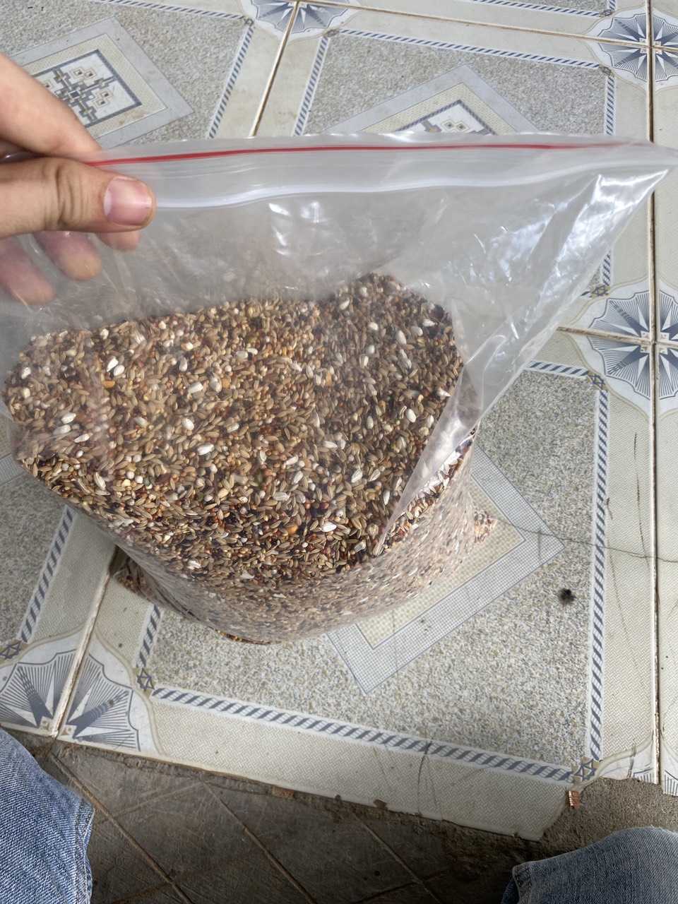 2kg hạt 15 loại ngũ cốc thiên nhiên 100% tăng cường dinh dưỡng giú chim cu cực sung