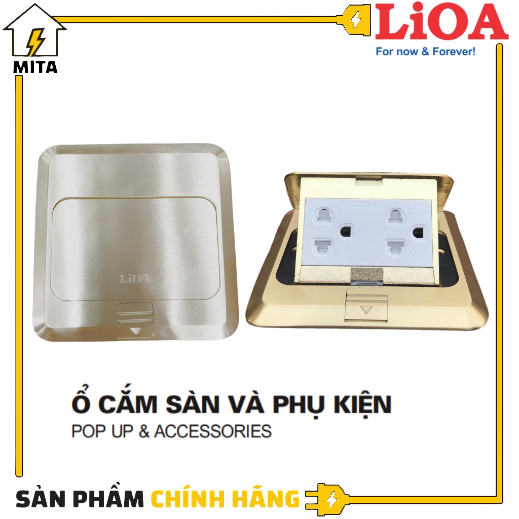 Ổ cắm điện âm sàn LiOA - Ổ đôi 3 chấu