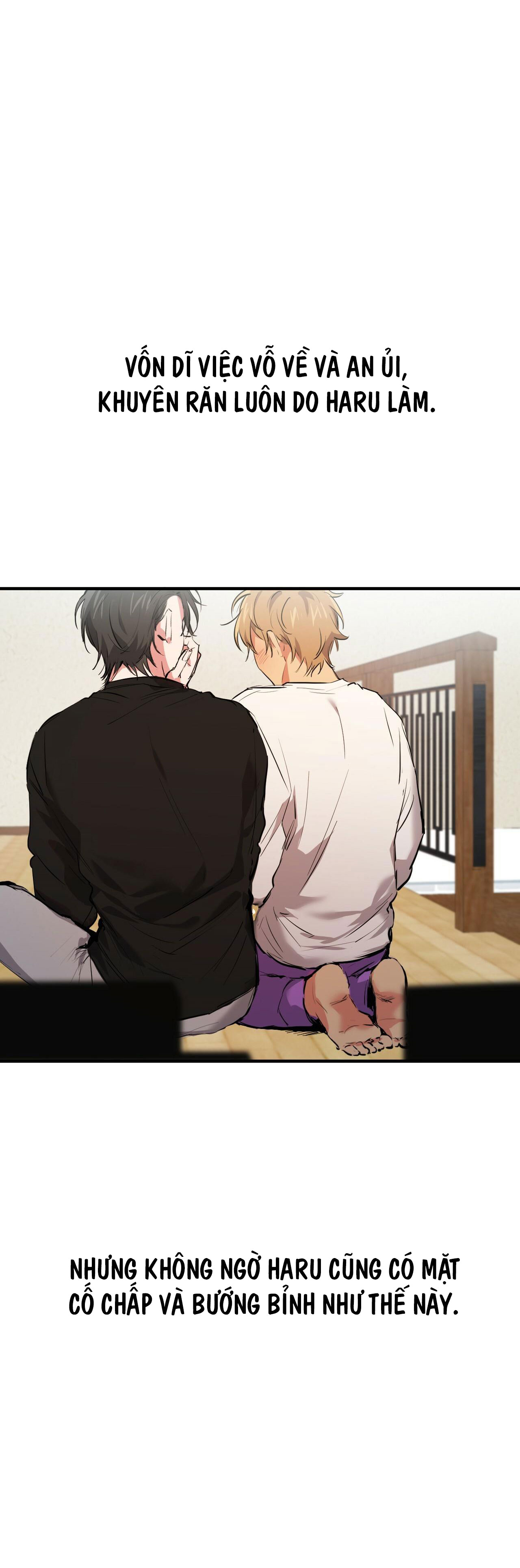 những chú thỏ của hapypy chapter 35 48