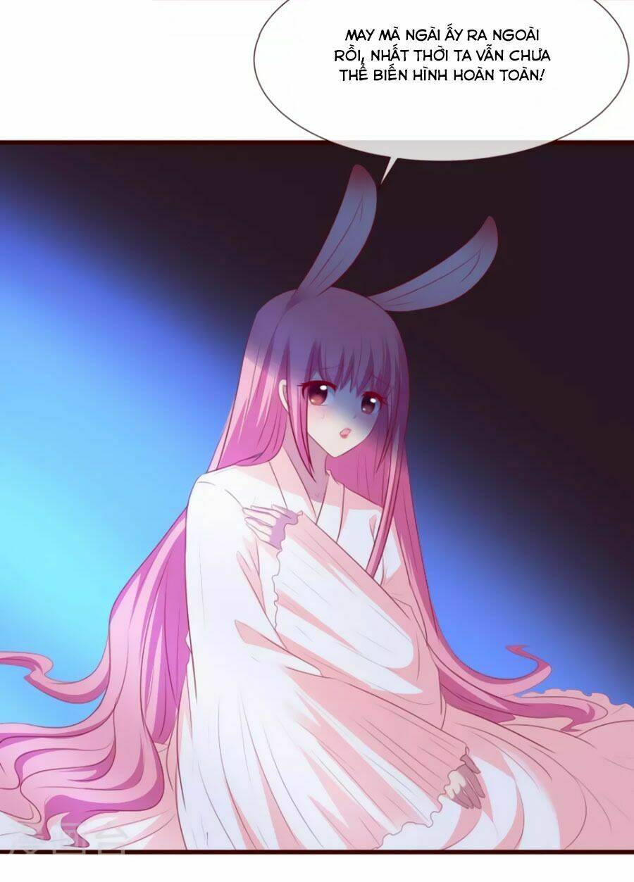 thỏ yêu tiểu vương phi chapter 32 22