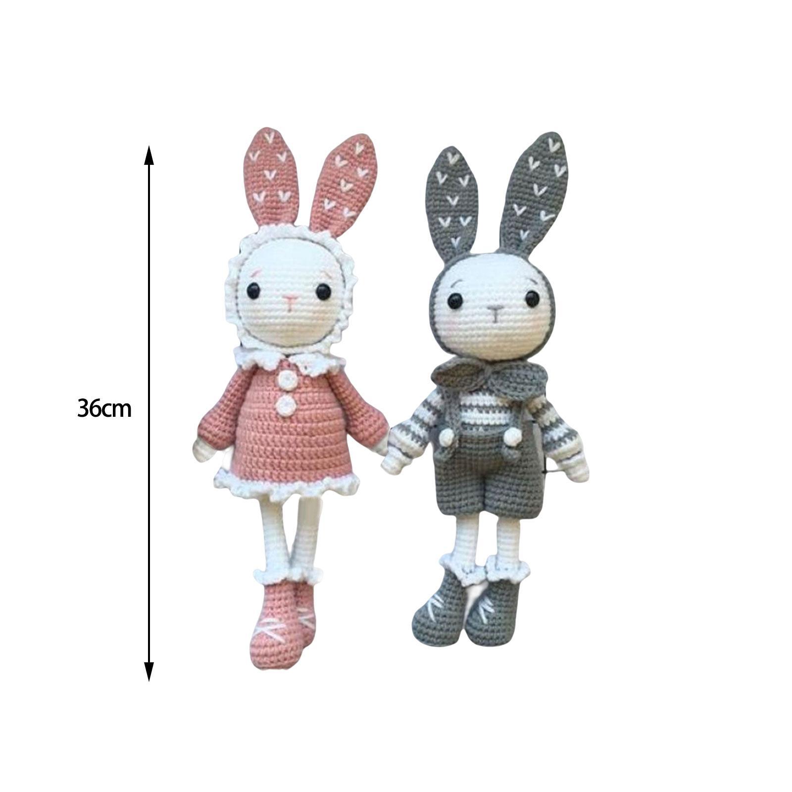 Handmade Beginner Crochet Kit, A Pair of Rabbit Crocheting Crafts Hand Made Toy