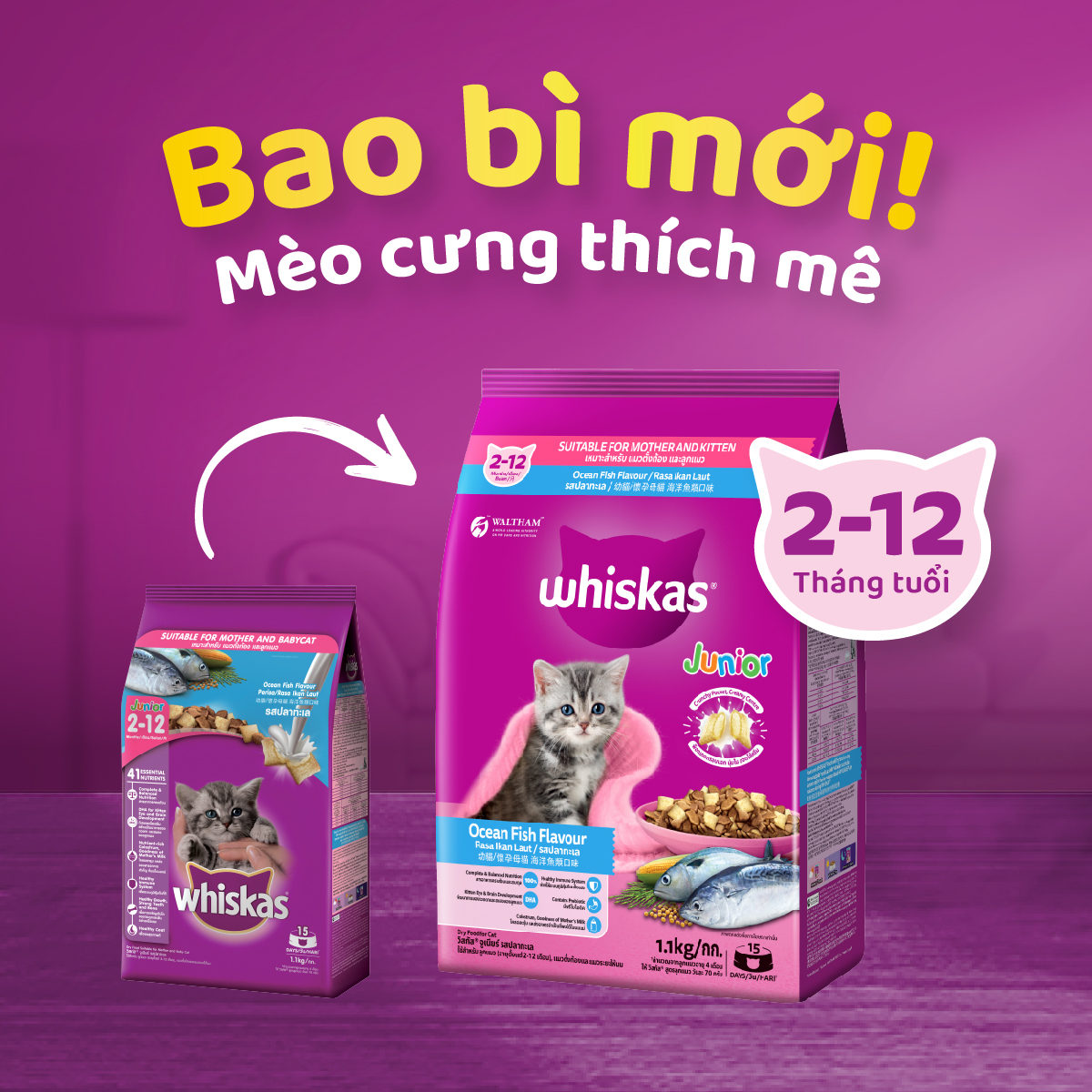 WHISKAS Thức ăn dạng hạt cho mèo con từ 2-12 tháng tuổi, 2.7kg - Vị cá ngừ &amp; cá hồi