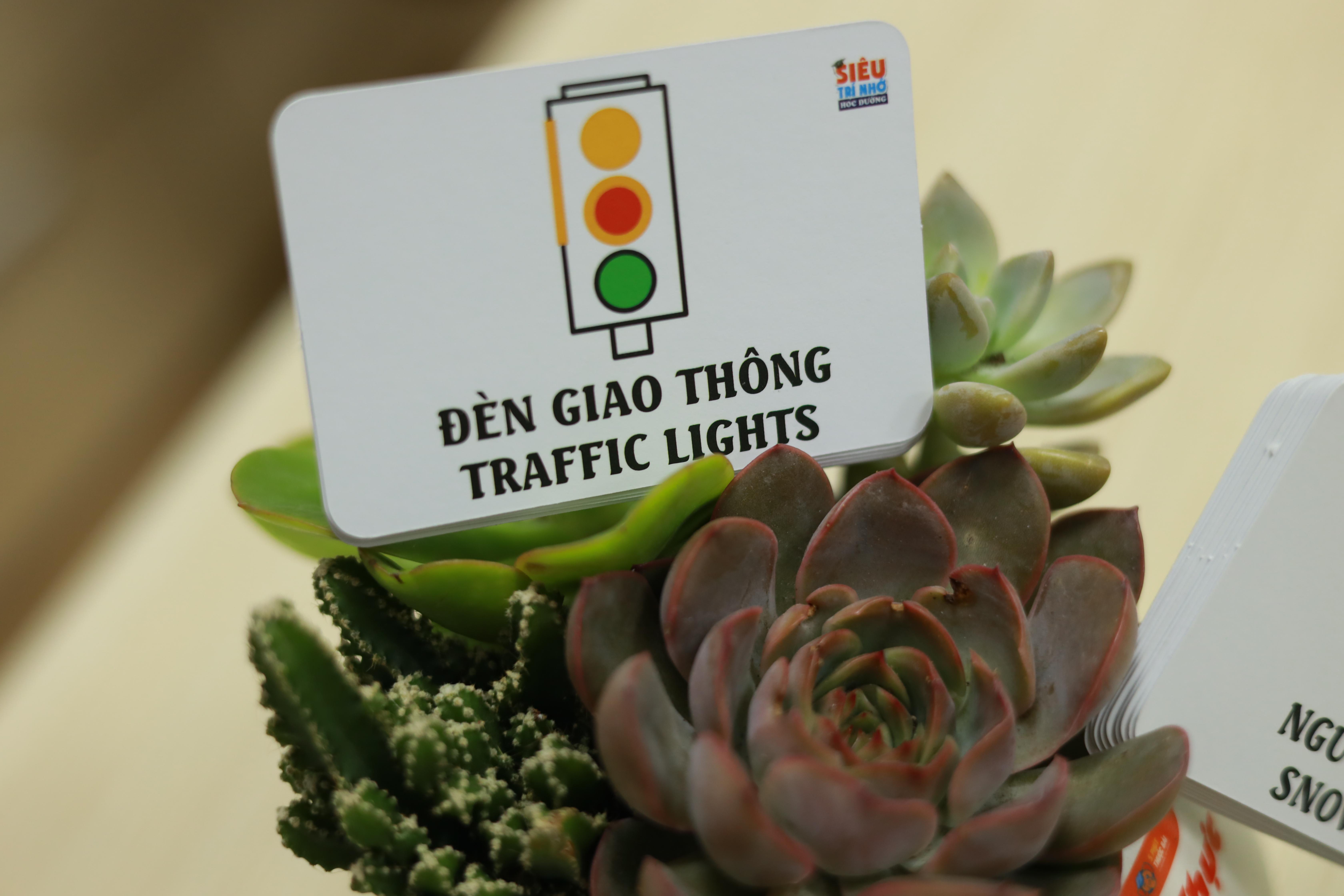 Bộ thẻ học thông minh cho bé FLASHCARD SHAPE - Nhớ dễ dàng những con số