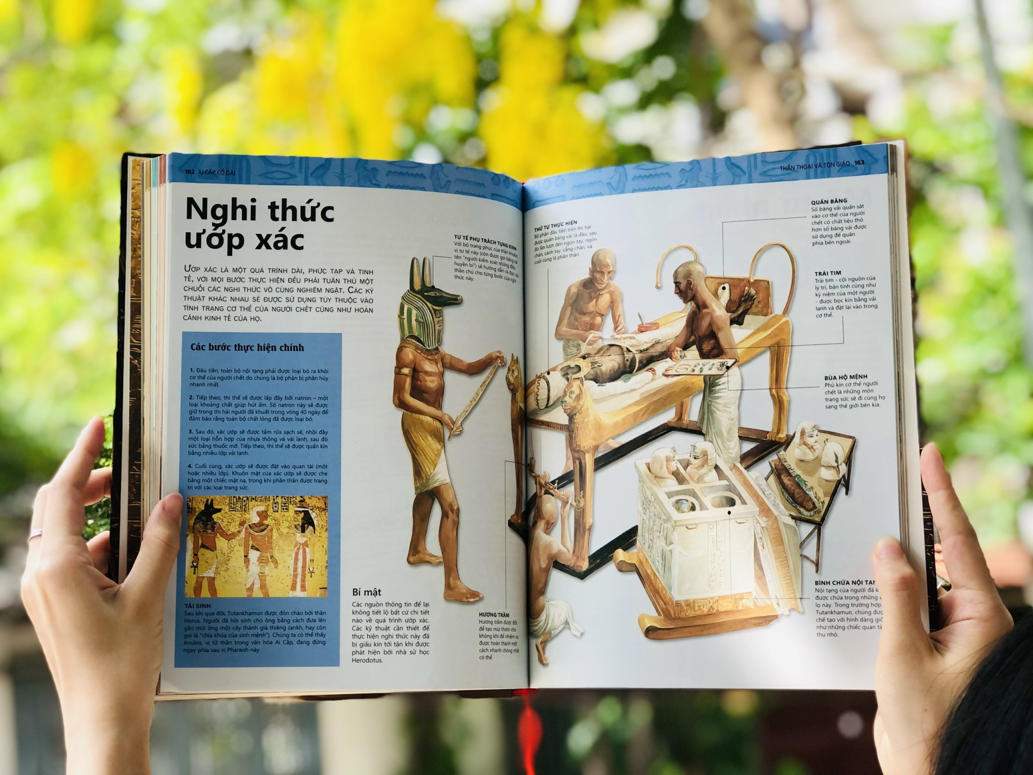 Hình ảnh Combo sách Ai Cập cổ đại và Bách khoa toàn thư lịch sử tập 1 tập 2 ( 3 cuốn ) sách bách khoa toàn thư lịch sử, bìa cứng in màu - Hiệu sách Genbooks