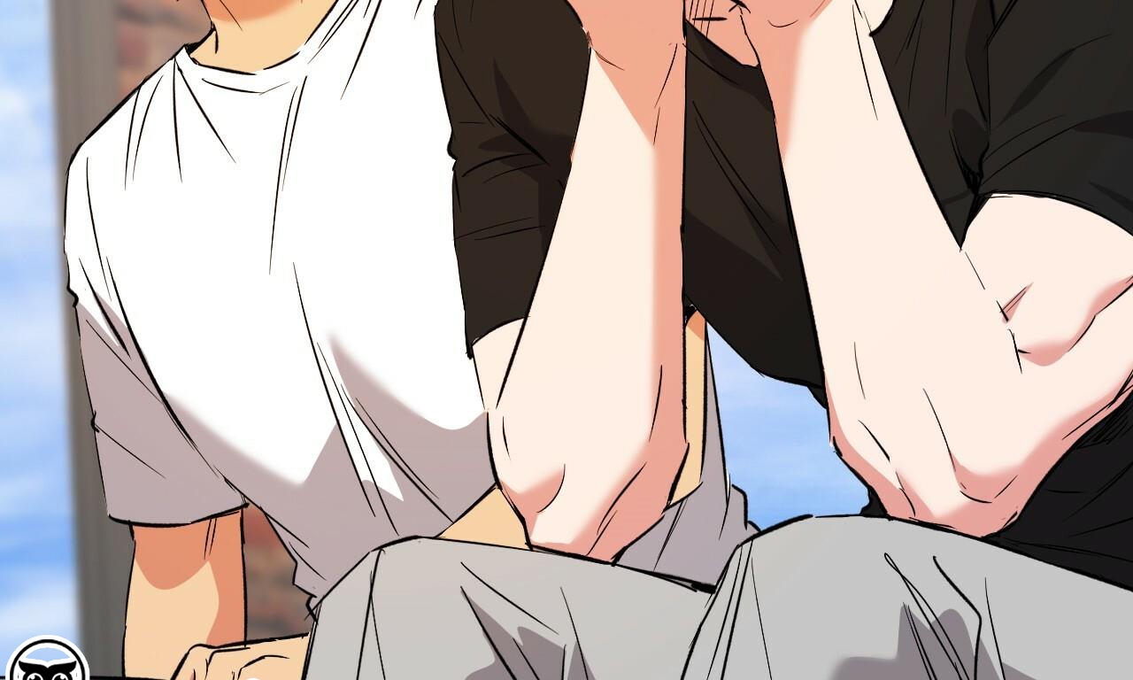 những chú thỏ của hapypy chapter 53 84