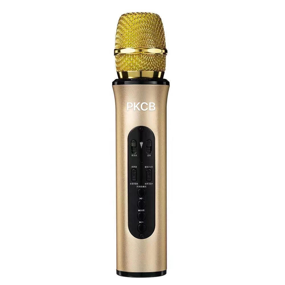 Micro Hát Karaoke Bluetooth Kết Nối Không Dây Cao Cấp Âm Thanh Chân Thật PKCB -Hàng Chính Hãng