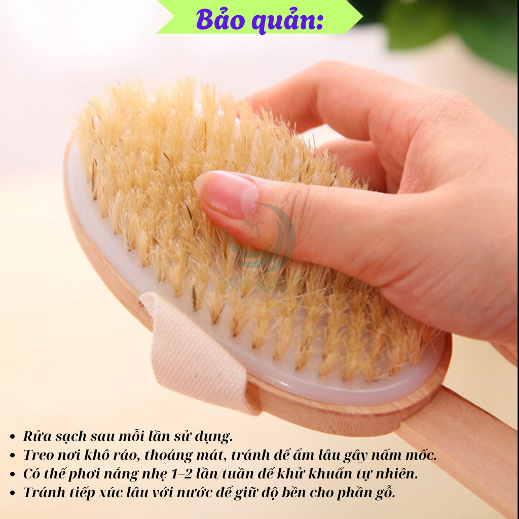 Bàn chải tắm cán dài bằng gỗ tự nhiên - Bàn chải massage cơ thể cao cấp - Cọ tắm khô &amp; ướt cán dài tiện lợi - Bàn chải chà lưng chống tế bào chết - Bàn chải tắm toàn thân spa tại nhà