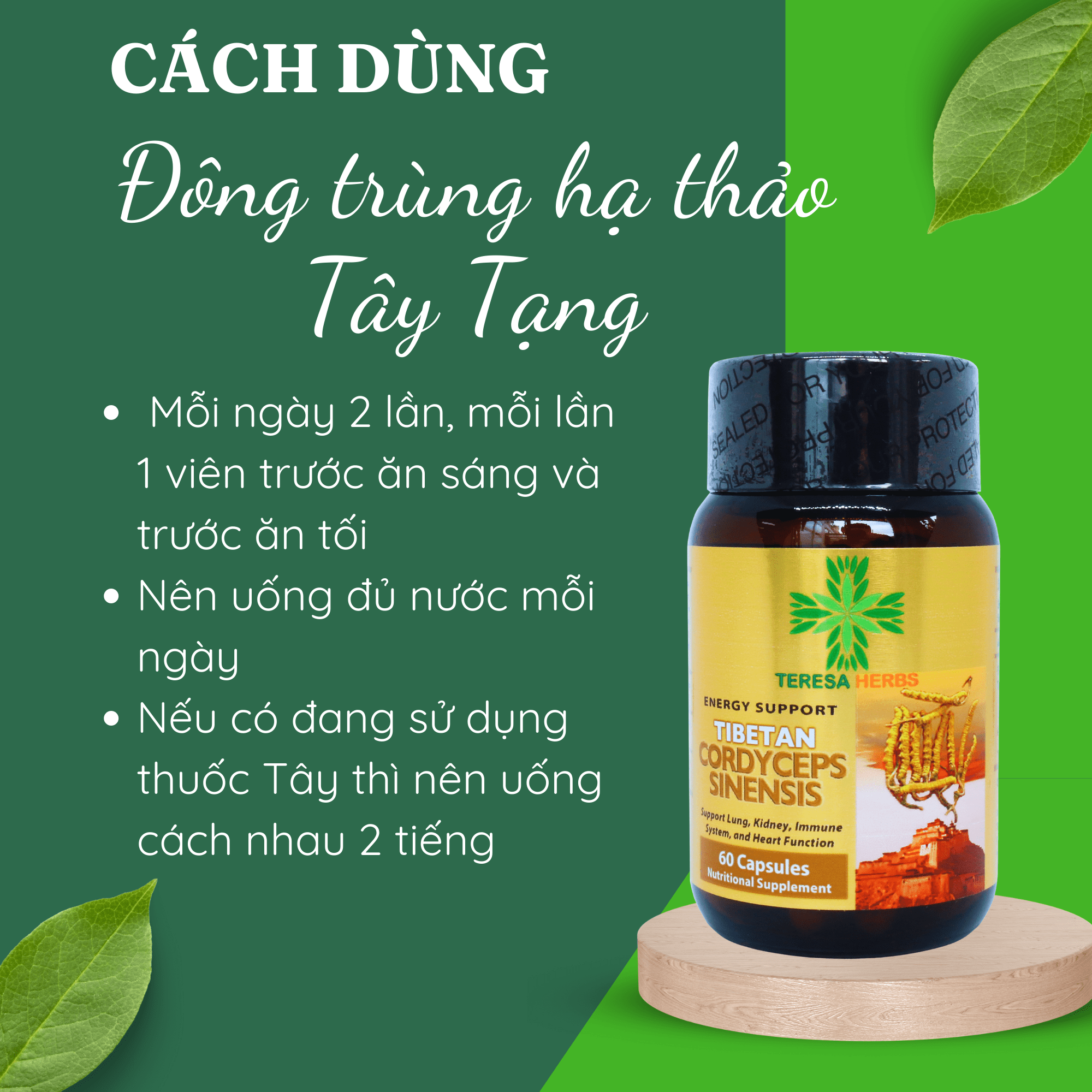 Đông Trùng Hạ Thảo Tây Tạng (Made in USA) - Hoạt chất Polysacharide và Cordycepin/Adenosine cao, giúp tăng đề kháng, hệ miễn dịch nhanh, bổ phổi, bổ thận, ngủ ngon, giảm mệt mỏi, chống lão hóa, tăng cường sinh lý ( 60 Viên 500mg/ viên)