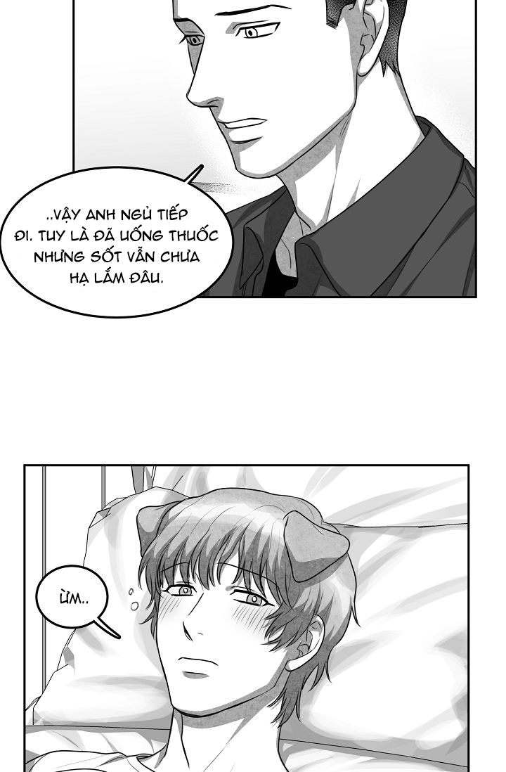 khi cún biết yêu chapter 7 42