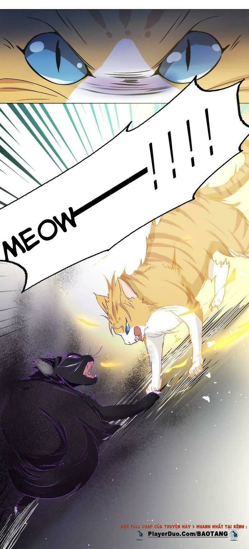 thập nhị hắc miêu chapter 5 14