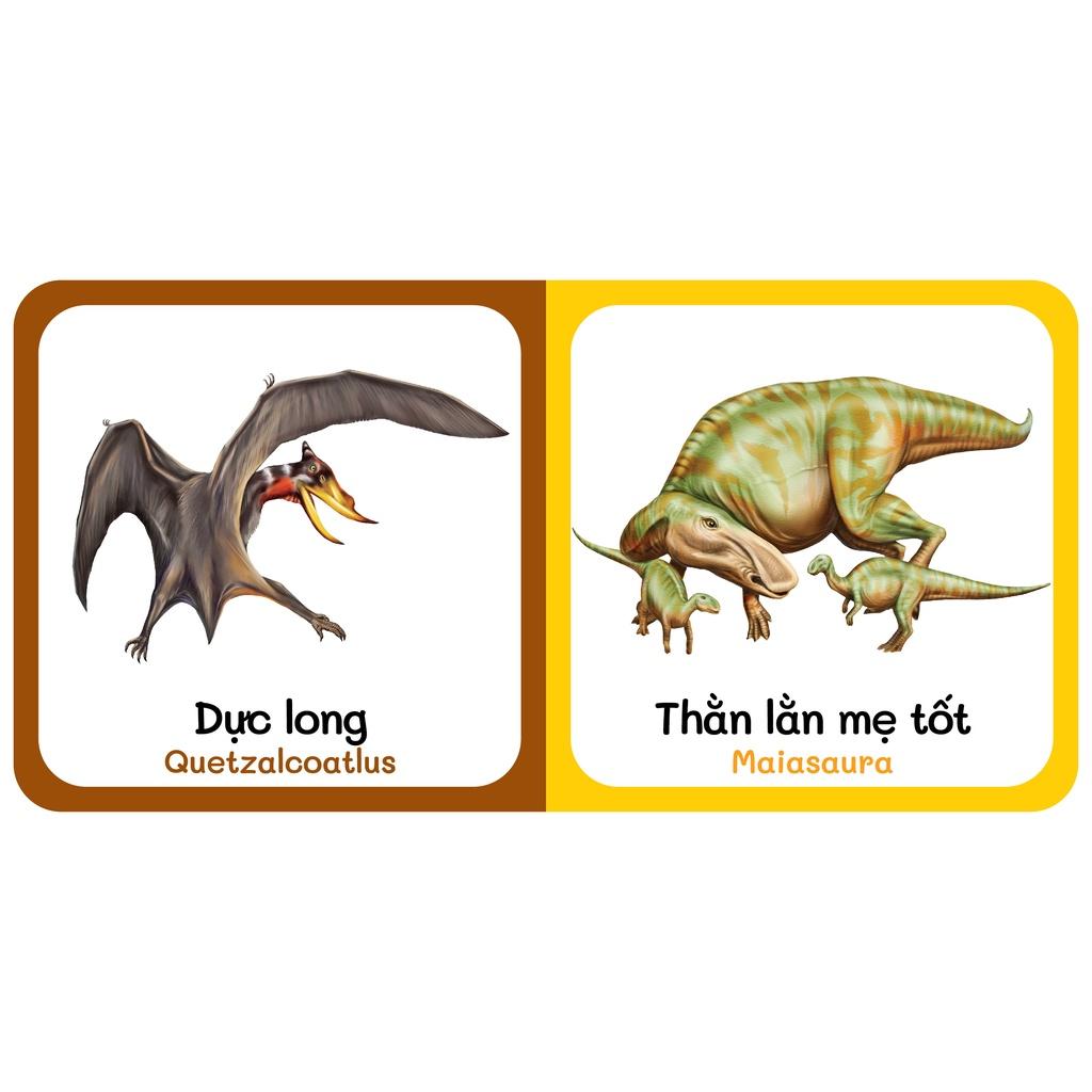Sách - Baby'S First Picture Dictionary - Từ Điển Bằng Hình Đầu Tiên Của Bé - Khủng Long - Dinosaurs (Bìa Cứng)