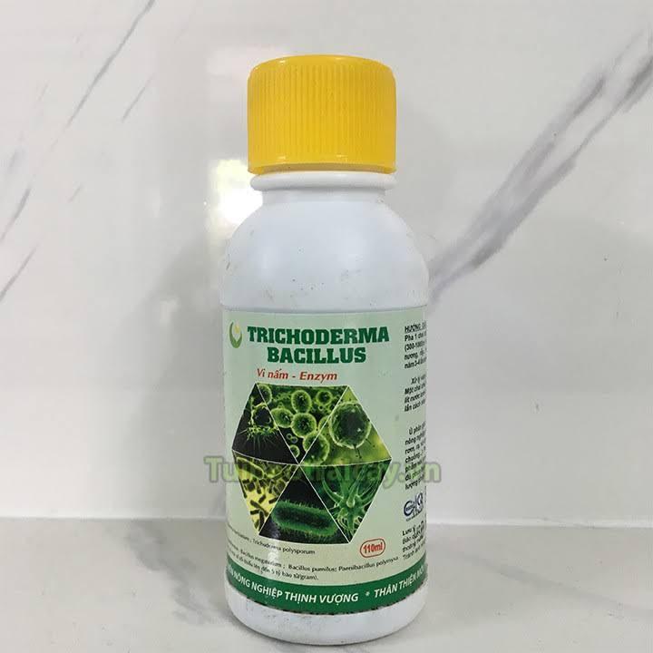 CHẾ PHẨM TRICHODERMA BACILLUS CAHI DẠNG NƯỚC 100ml , ỨC CHẾ NÂM, KHẮC TINH CỦA NẤM BỆNH , VÀNG LÁ THỐI RỄ