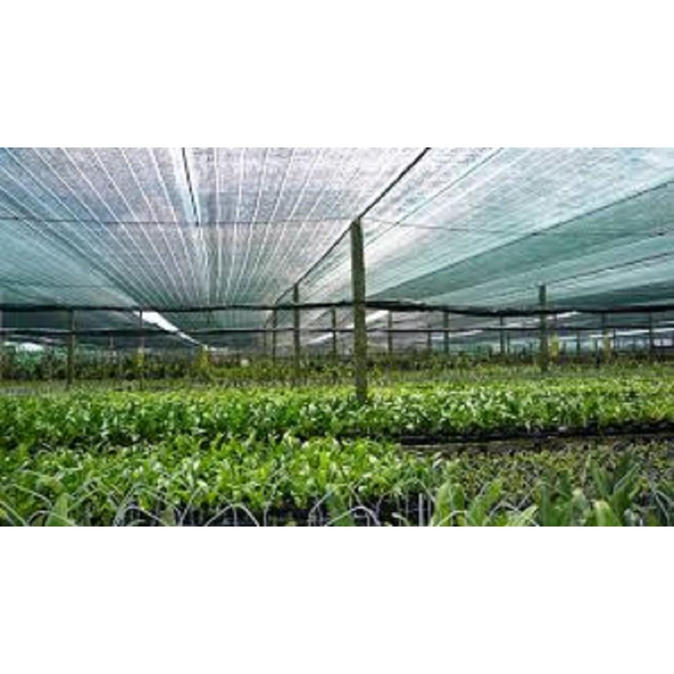 Lưới Thái che nắng vườn cây, công trình màu xanh khổ 4m