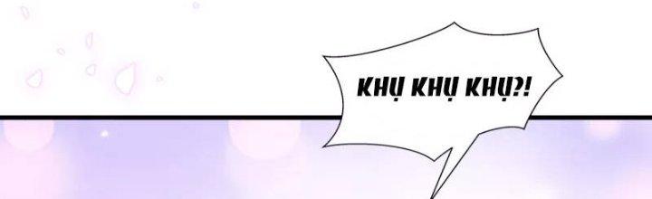 trở thành vương giả sau khi bị cắn chapter 1.5 42