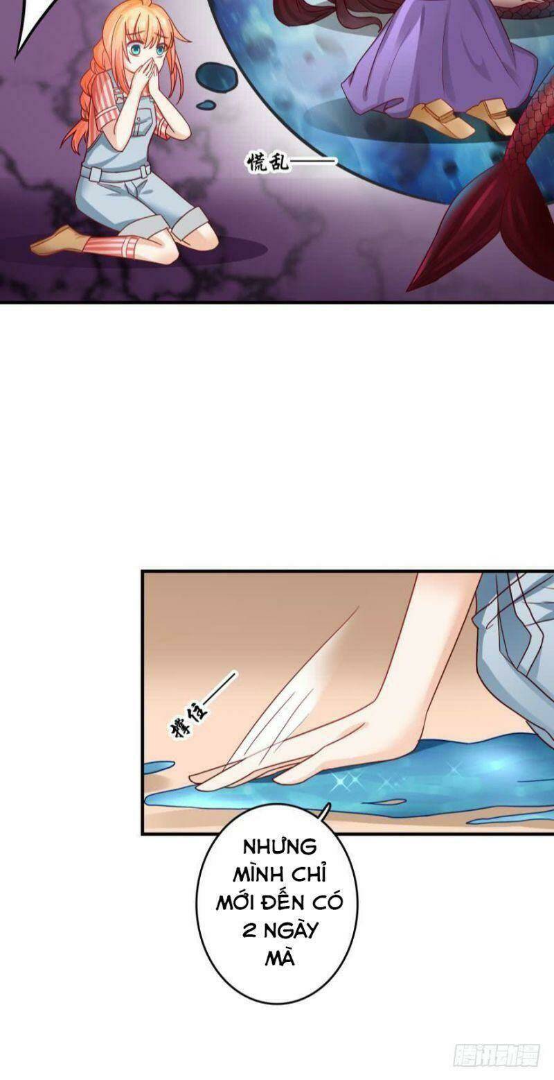 nhân ngư học trưởng, đừng ôm ta! chapter 62 19