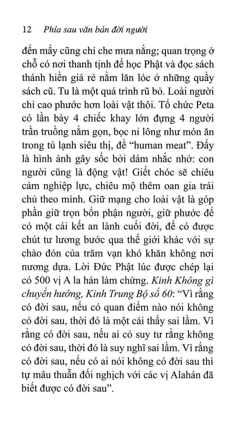 Phía Sau Văn Bản Đời Người